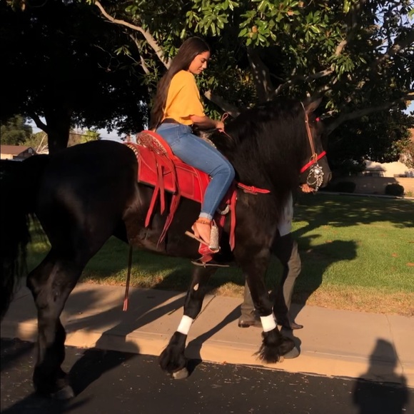 Get to know us! 💞 - Picture 3 of 5